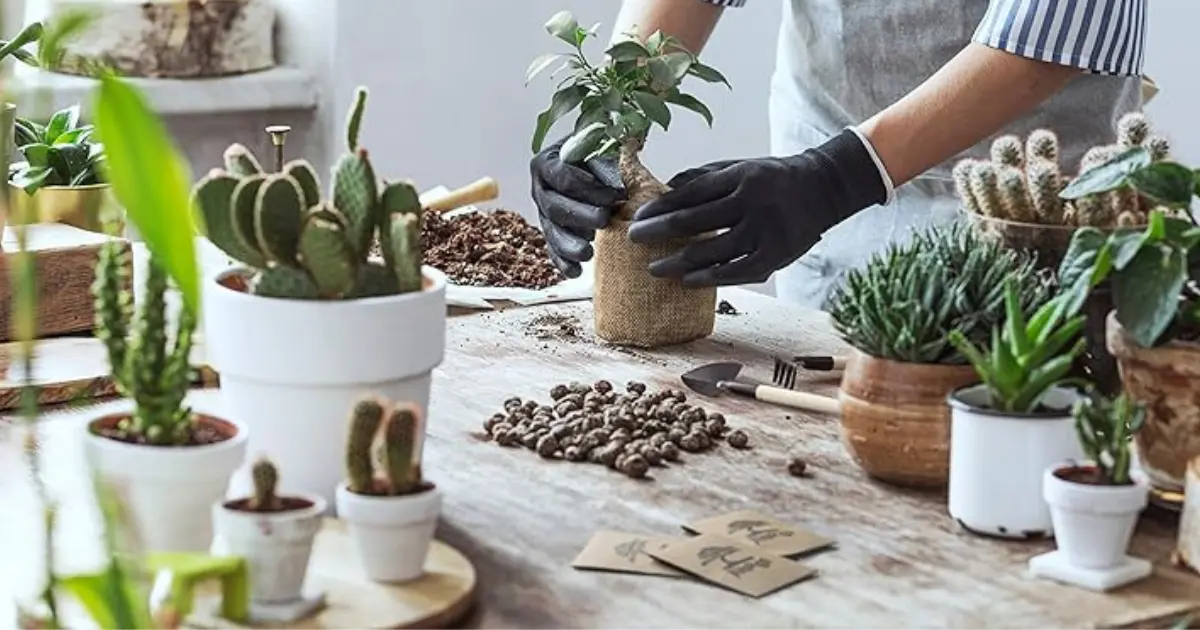 Ultimate Guide to Gardening