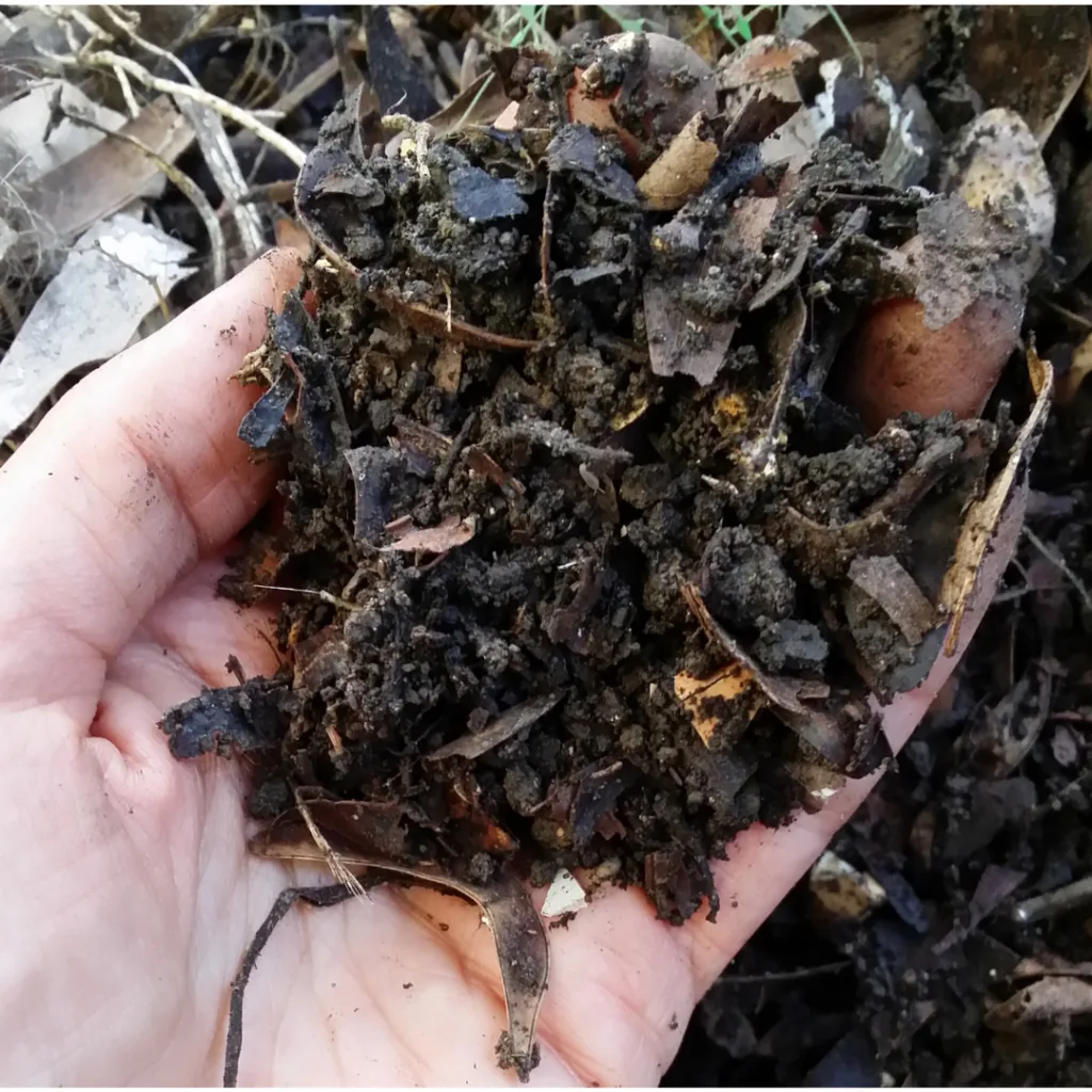 Dark, crumbly natural compost held in gardener’s hands
